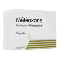 Meteoxane Gél B/60